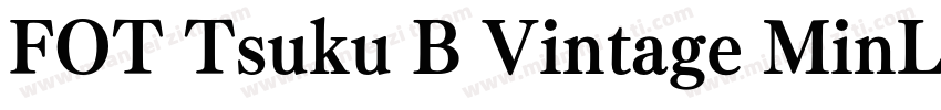 FOT Tsuku B Vintage MinL Pro字体转换